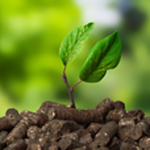 organic fertilizer pellets