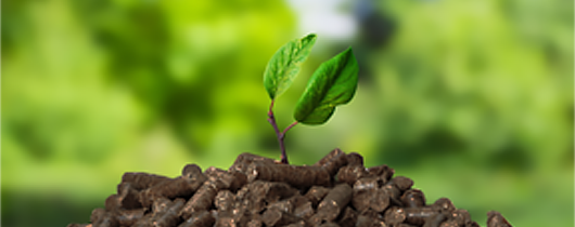 organic fertilizer pellets