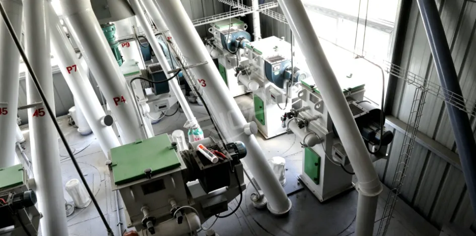 10T/H premixed feed production line installed in Netherlands, interior view of livestock premix feed manufacturing equipment